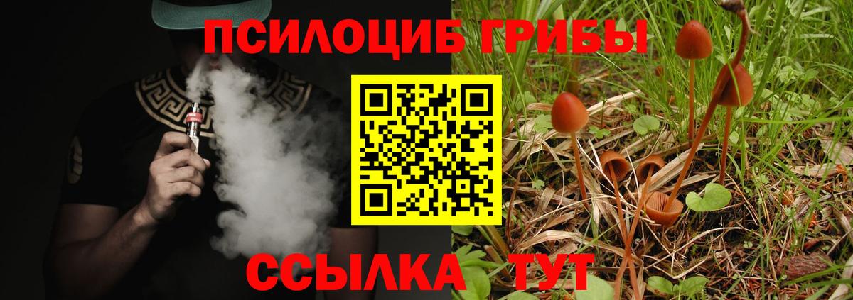 Галлюциногенные грибы прущие грибы Мурманск